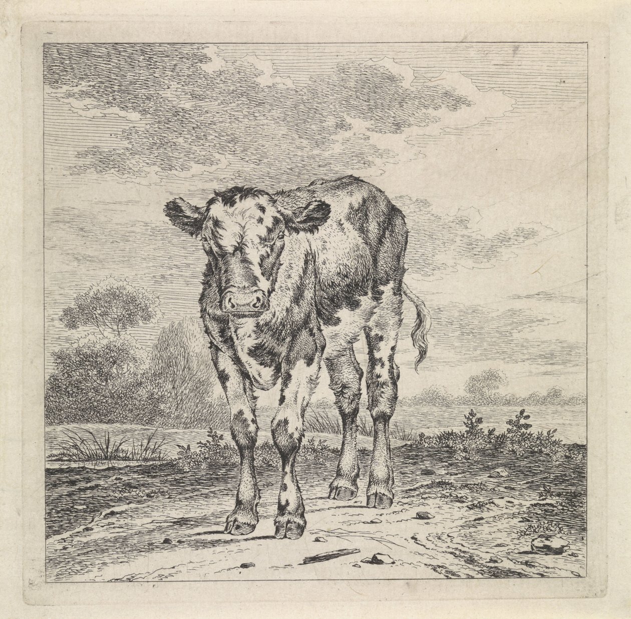 Landschaft mit Kalb von Pieter Janson