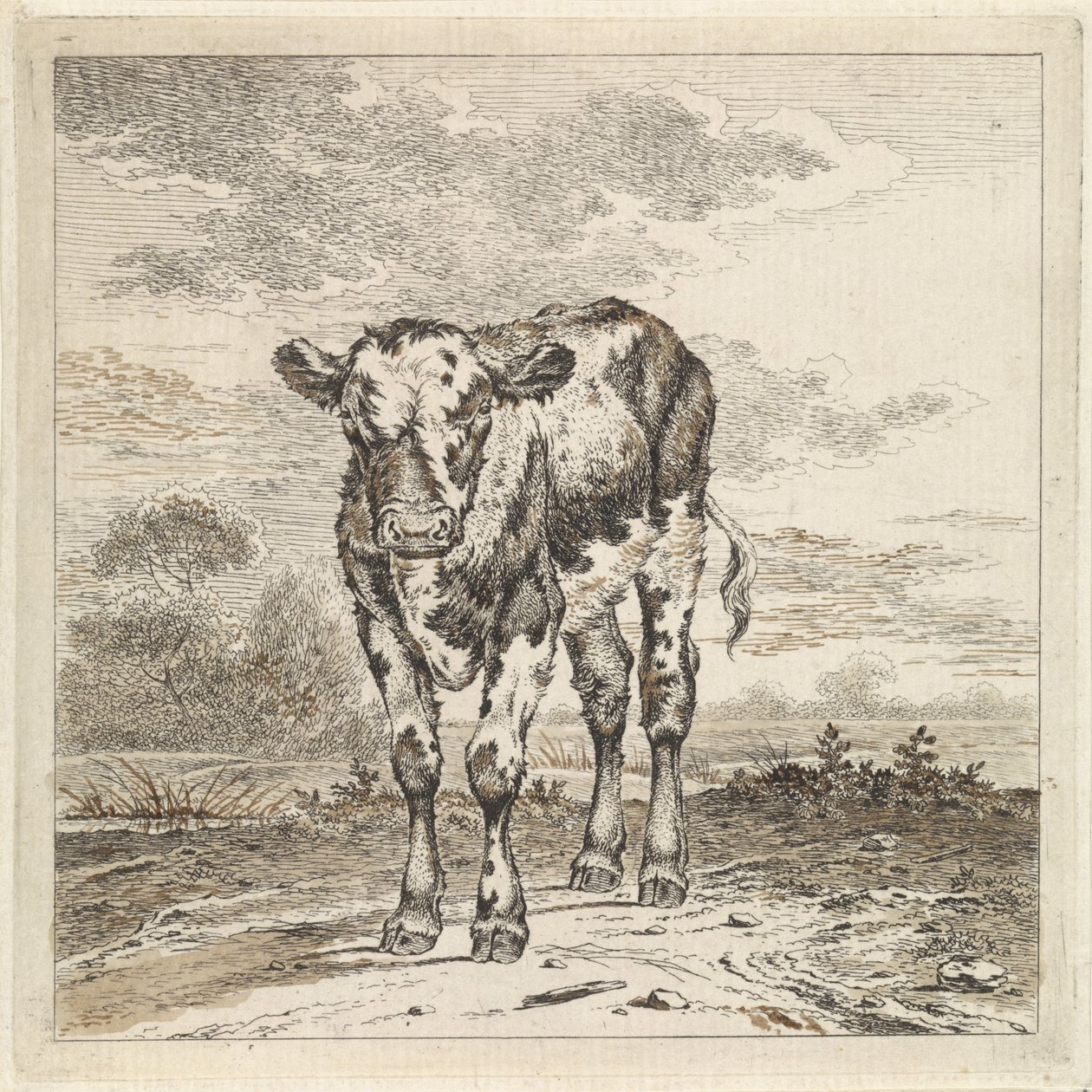 Landschaft mit Kalb von Pieter Janson
