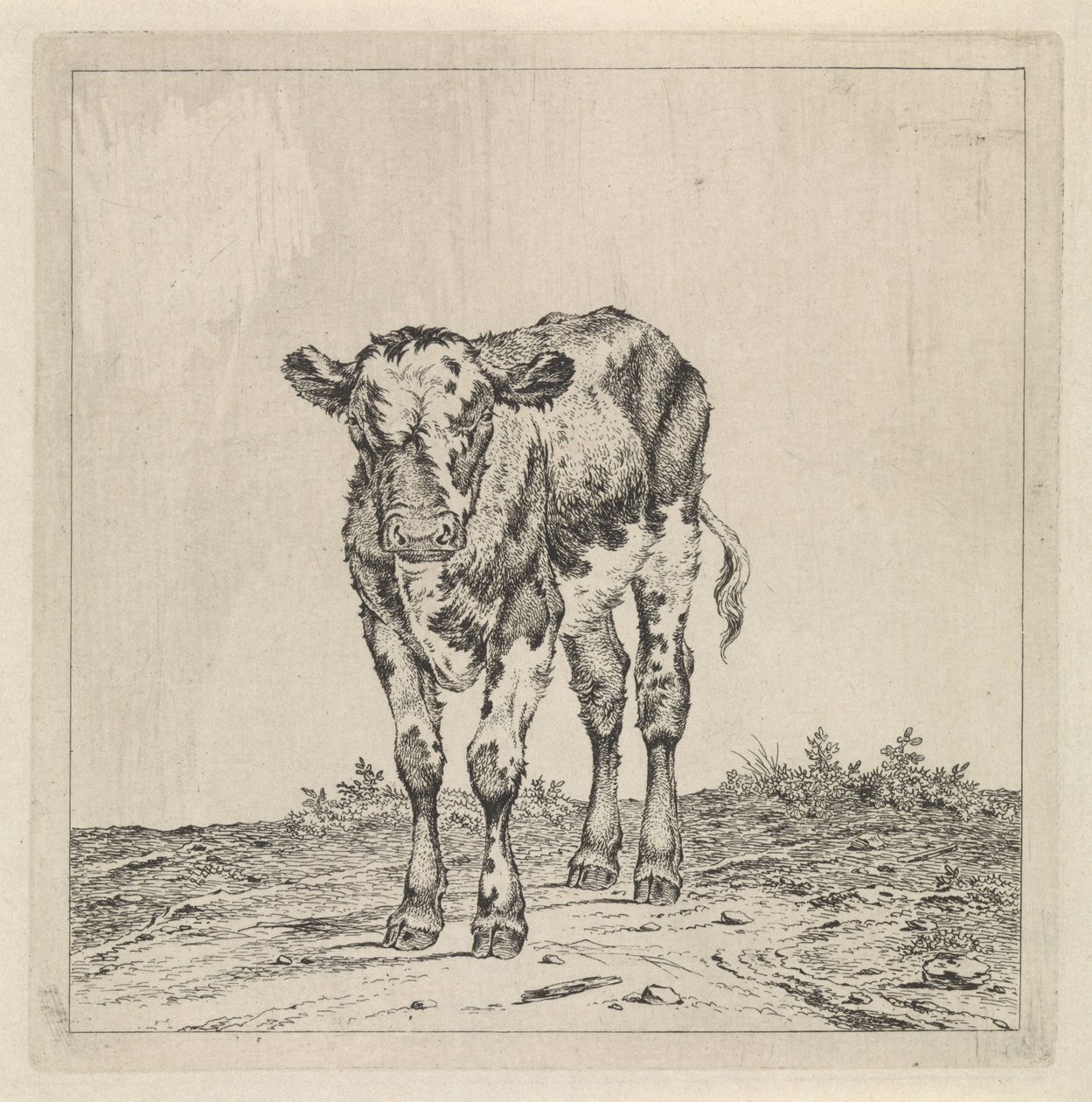 Landschaft mit Kalb von Pieter Janson