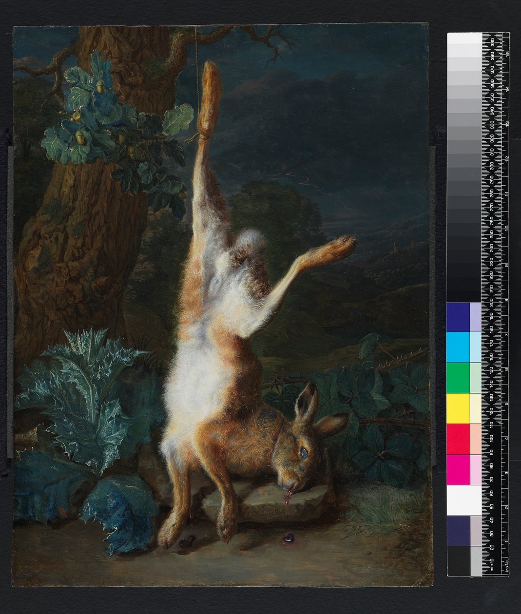 Ein toter Hase, vor 1782 von Pieter Snyers