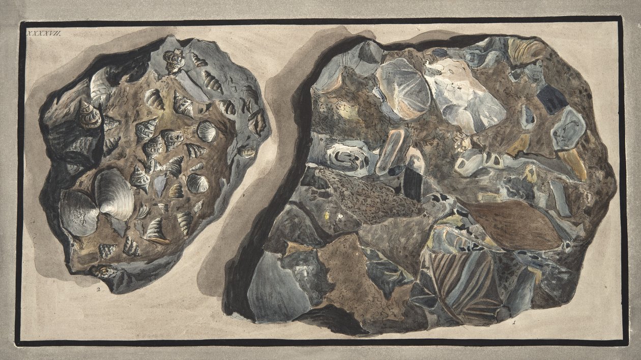 Marmorstück, bestehend aus Fragmenten verschiedener Marmorsorten, gefunden in der Fossa Grande, Tafel XXXXVII: aus 