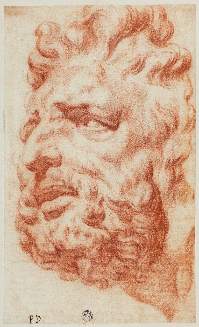 Kopf des Laokoon von Pietro Dandini