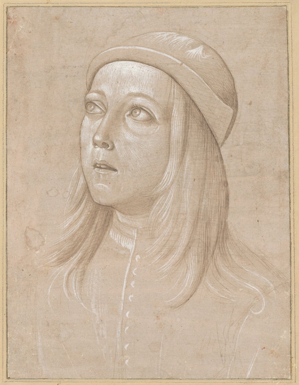 Kopf eines jungen Mannes, der nach oben schaut von Pinturicchio