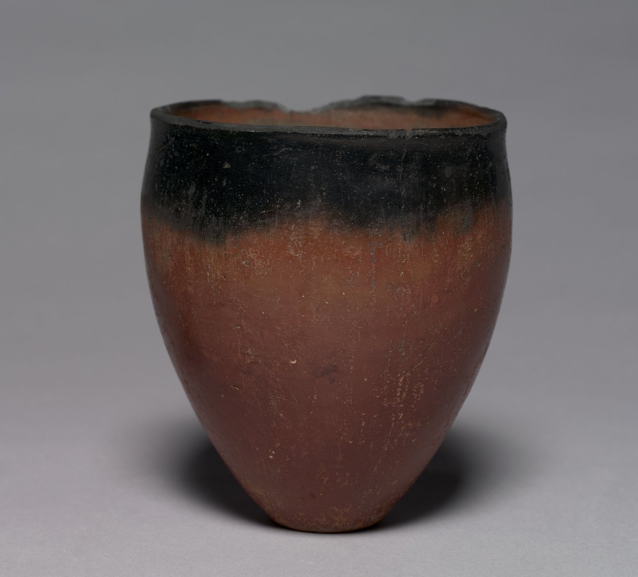 Schwarzrandiger Becher, 4500-3000 v. Chr. von Predynastic Period Egyptian