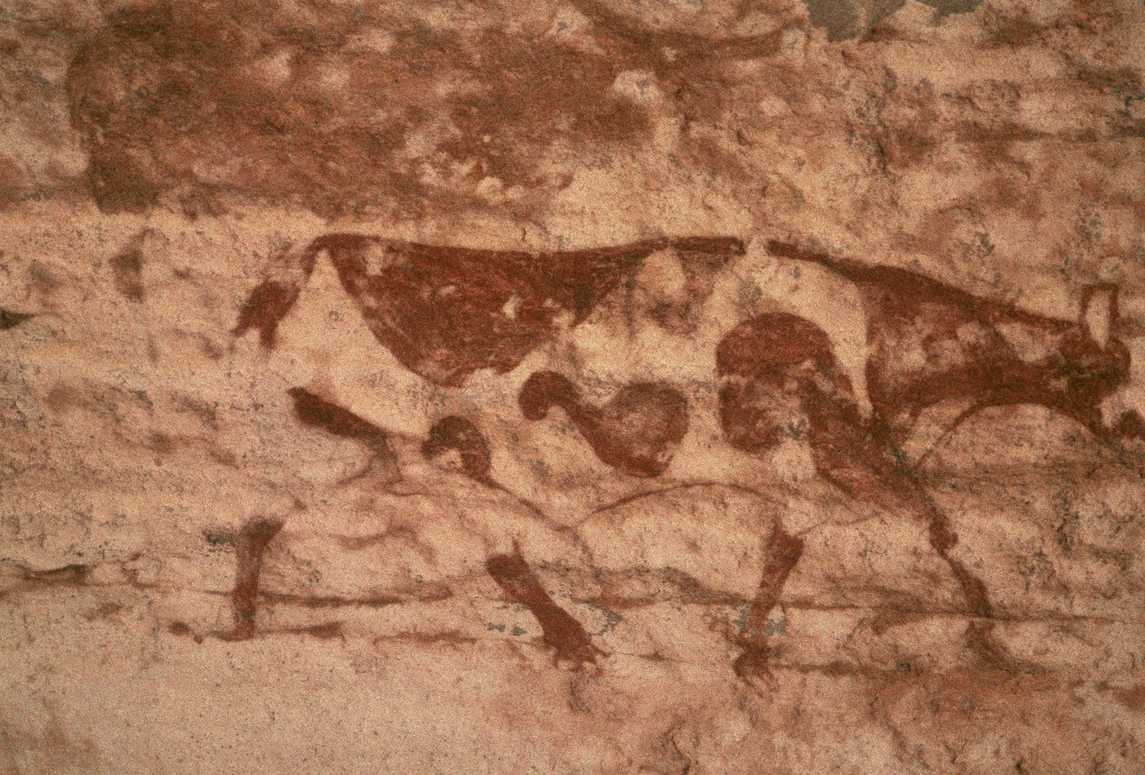 Eine Kuh (Wandmalerei) von Prehistoric