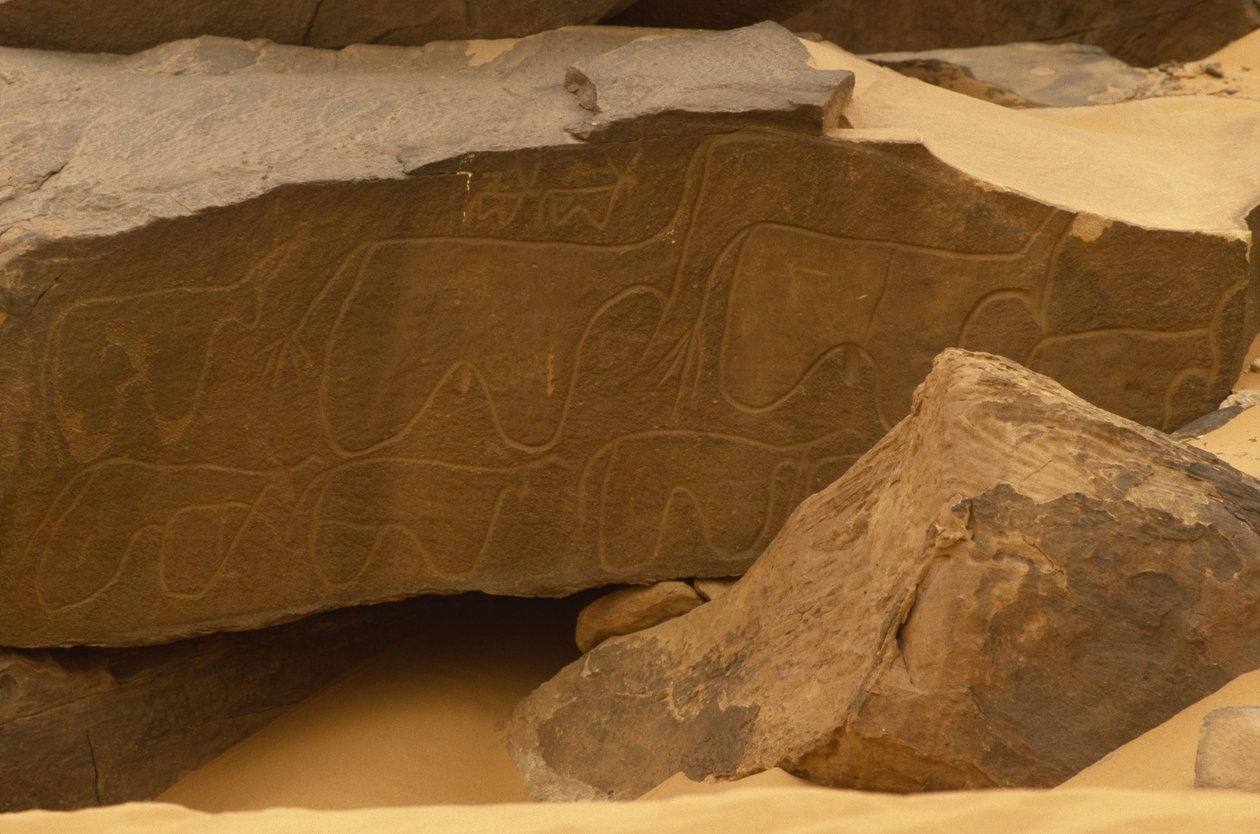 Tiere (Felsgravur) von Prehistoric