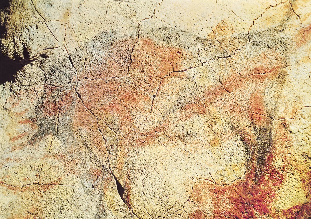 Bison, aus den Höhlen von Altamira, c.15000 v. Chr. von Prehistoric