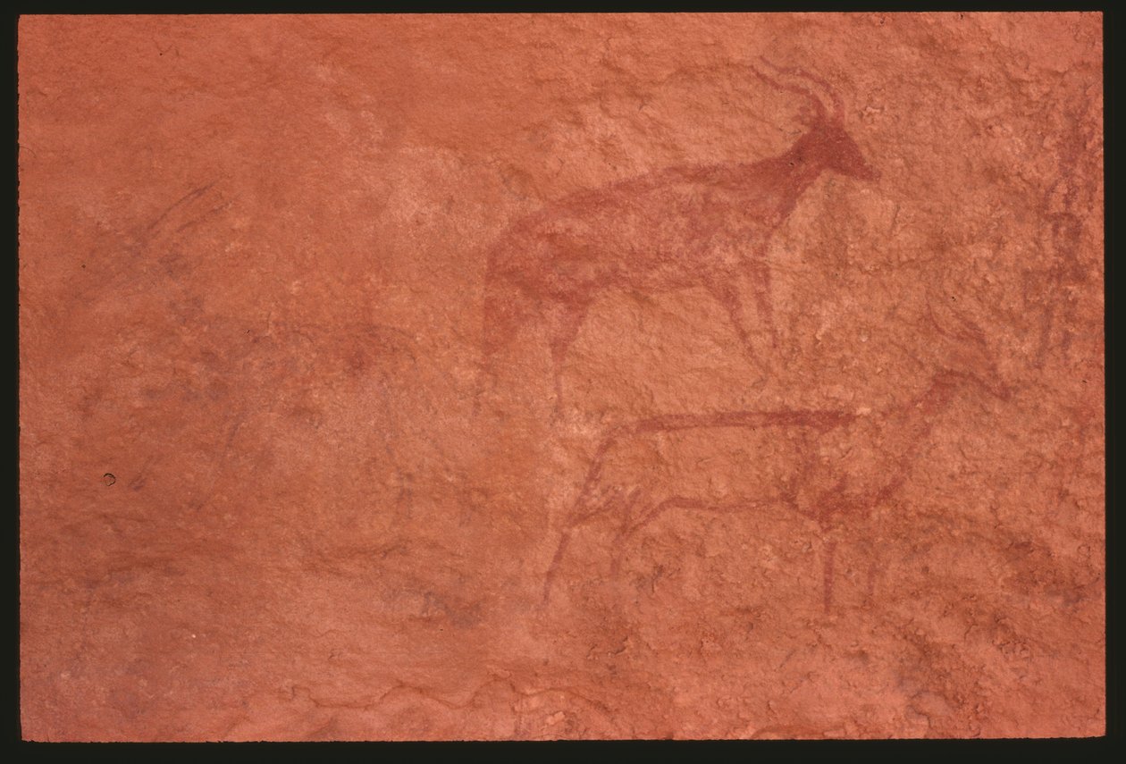 Kühe (Felsmalerei) von Prehistoric