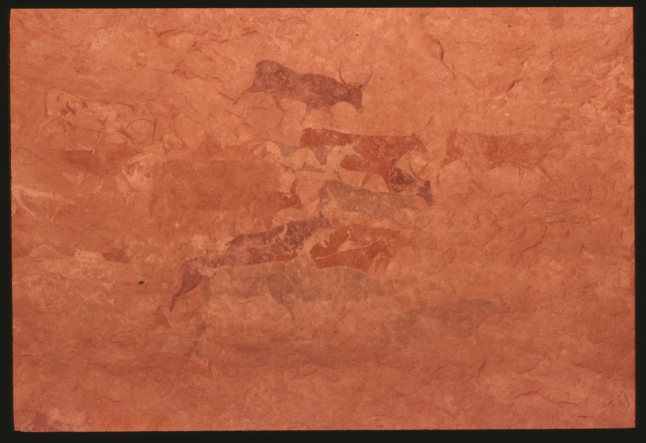 Kühe (Felsmalerei) von Prehistoric