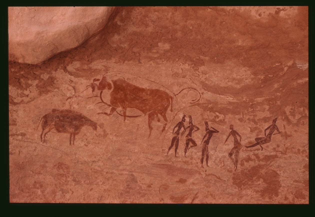Kühe und menschliche Figuren (Felsmalerei) von Prehistoric
