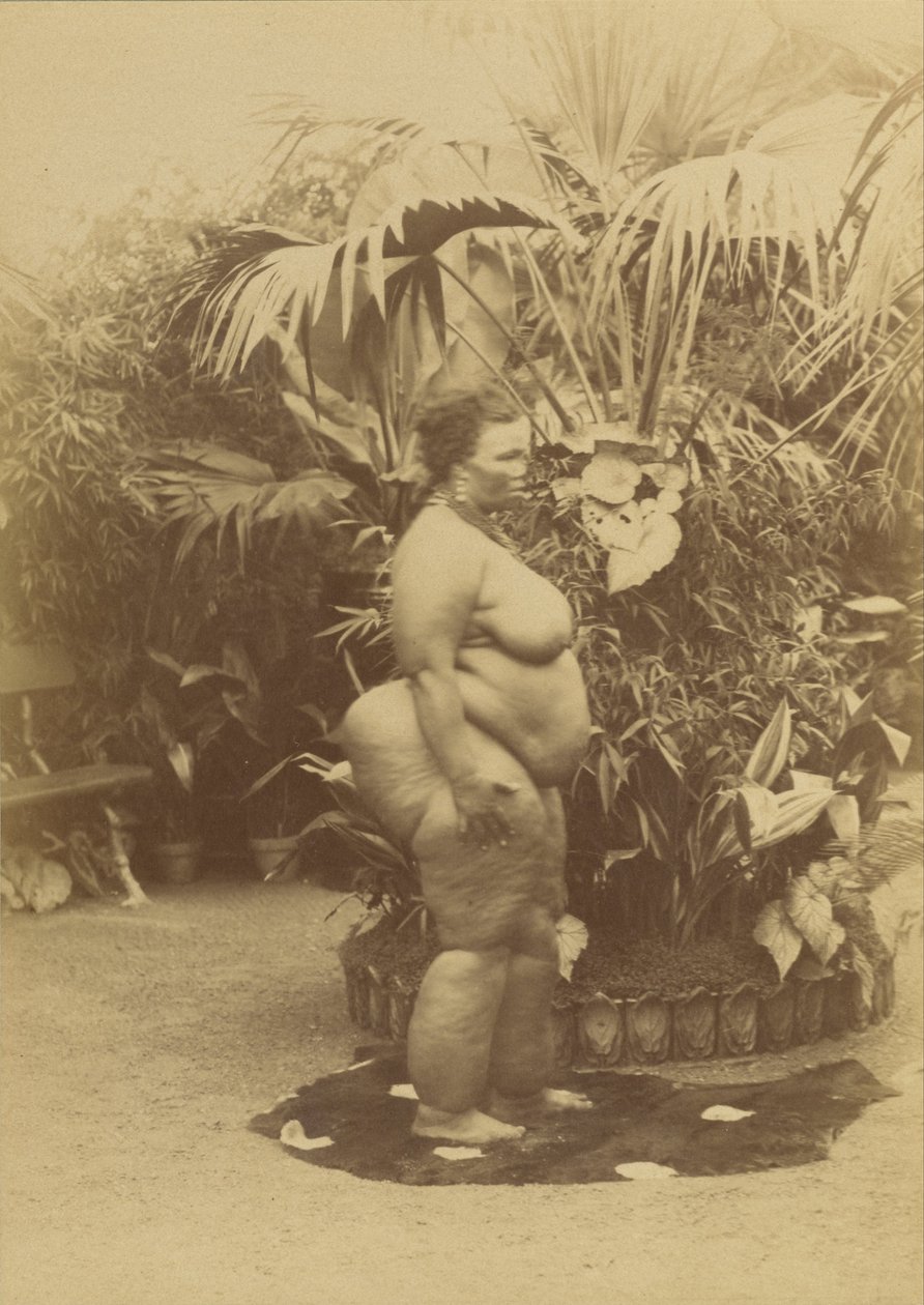 (Afrikanische Frau) von Napoleon Bonaparte
