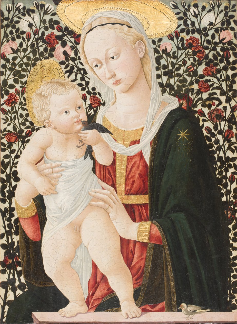 Madonna der Rosen, ca. 1485-90 von Pier Francesco Fiorentino