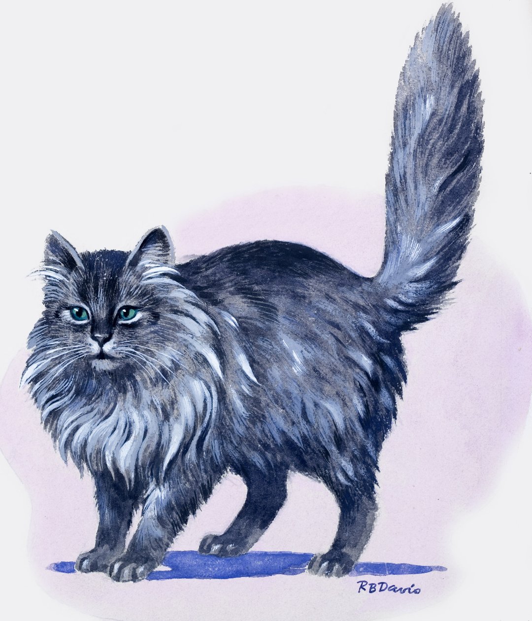 Perserkatze, aus 