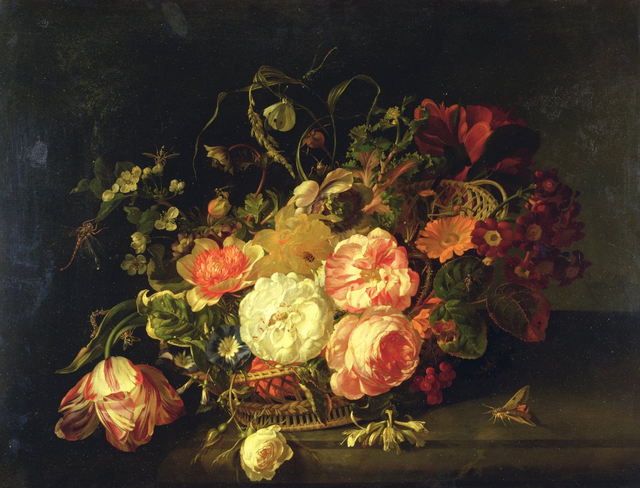 Blumen und Insekten, 1711 von Rachel Ruysch