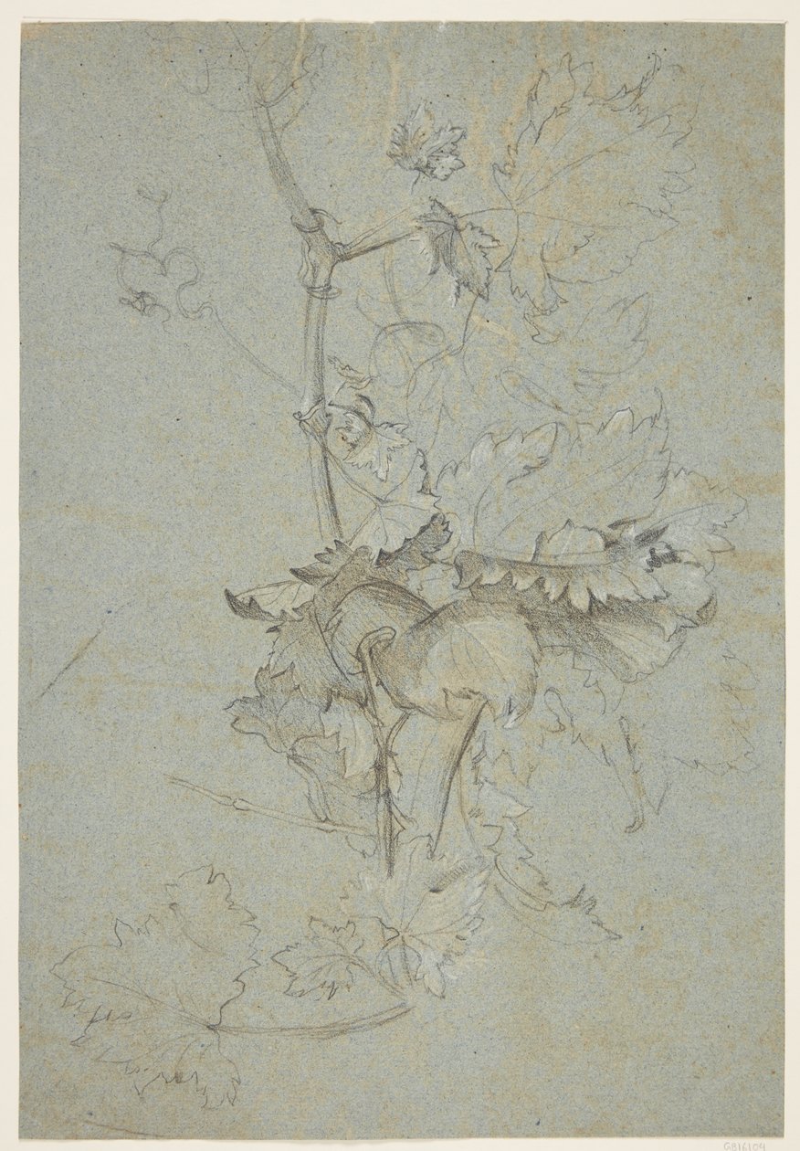 Pflanzenstudie von Rachel Ruysch