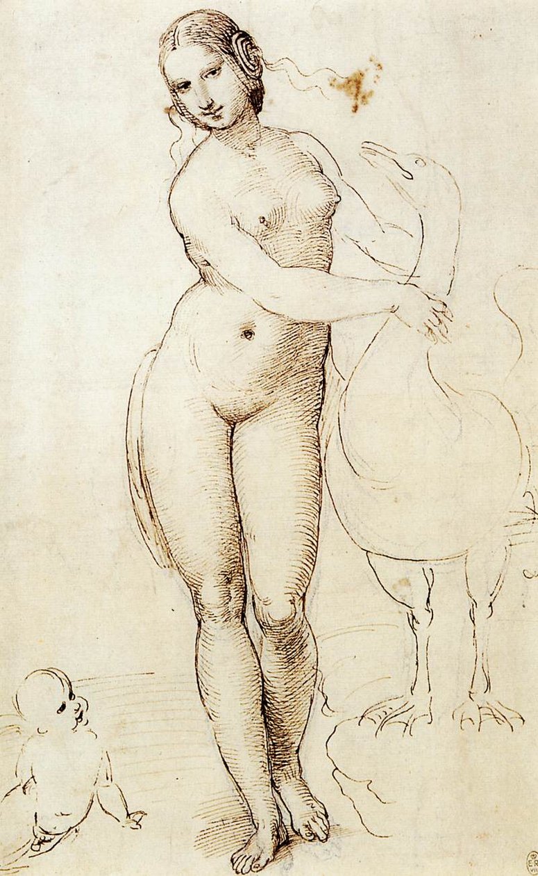 Leda und der Schwan von Raffaello Sanzio Raphael