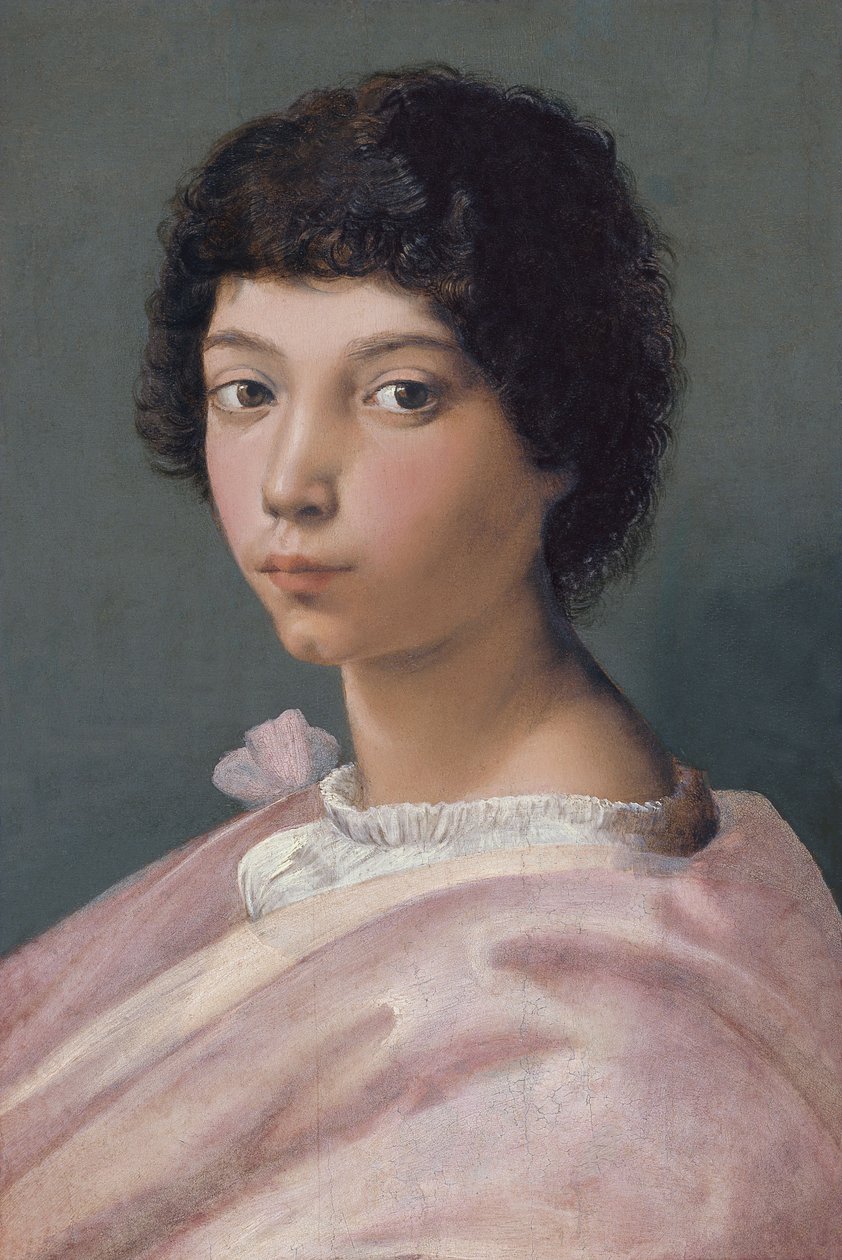 Porträt eines jungen Mannes von Raffaello Sanzio Raphael