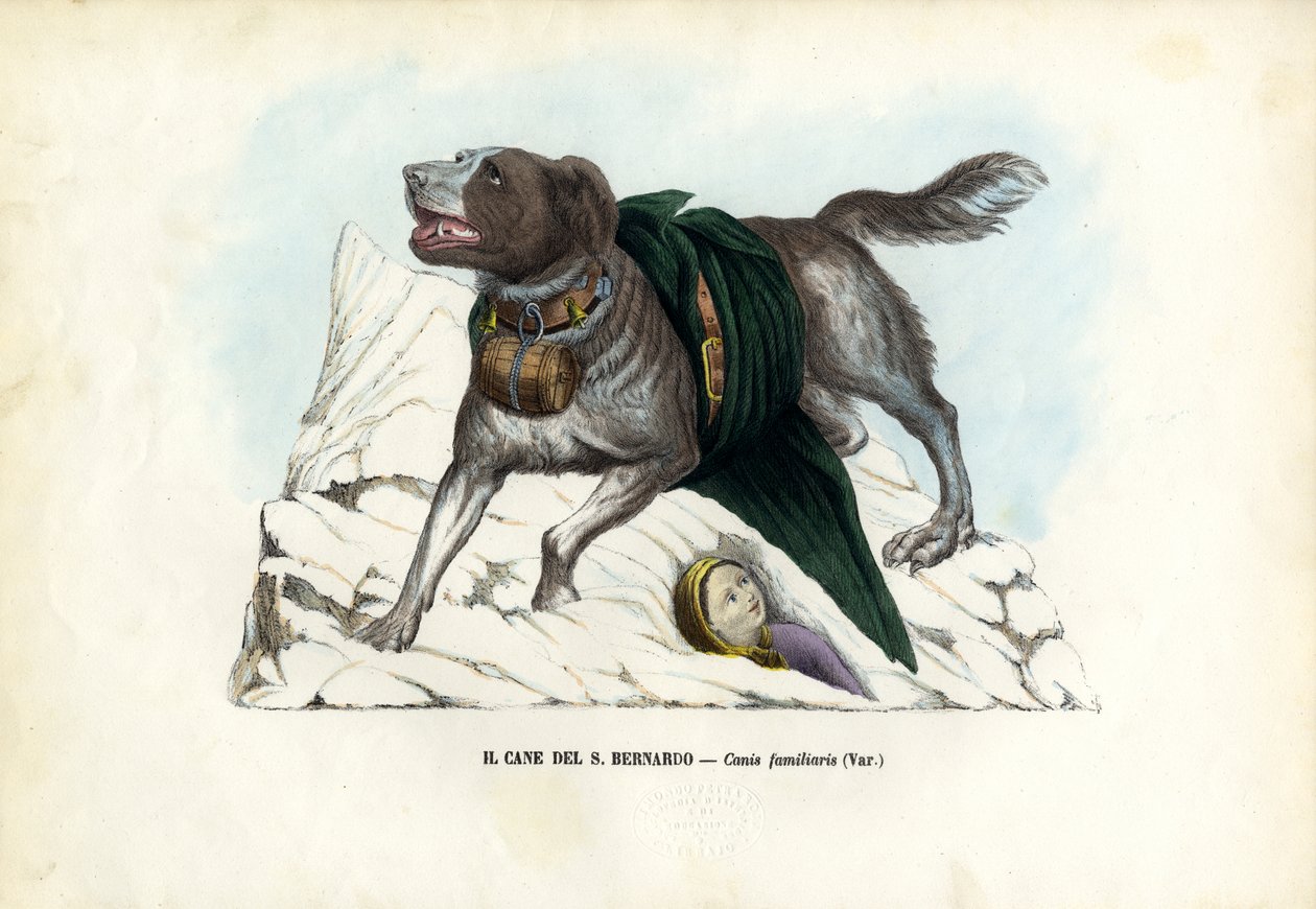 Hunde, 1863-79 von Raimundo Petraroja