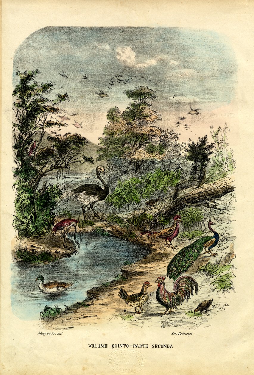 Titelseite, 1863-79 von Raimundo Petraroja