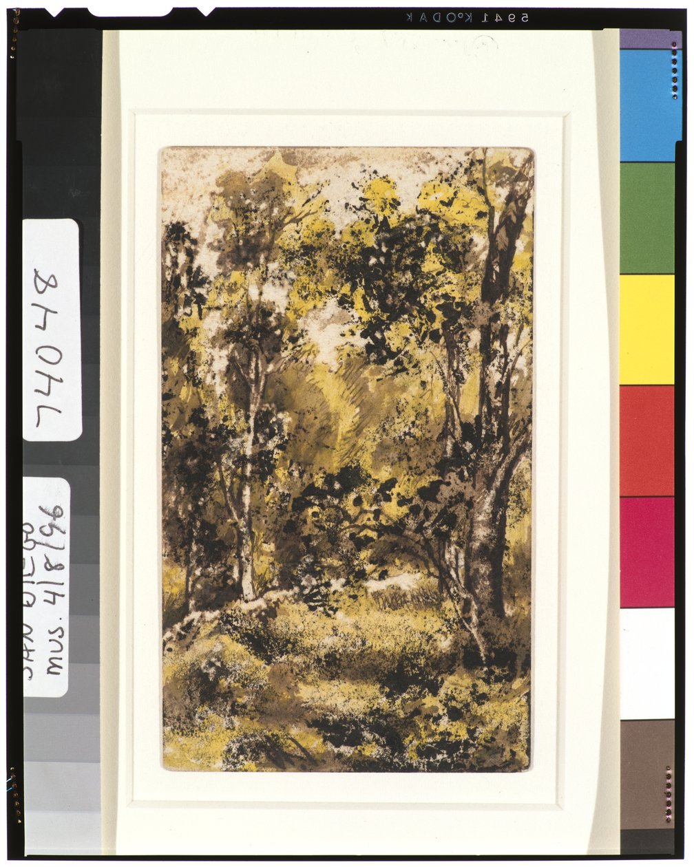 Waldszene, 1901-15 von Ralph Albert Blakelock
