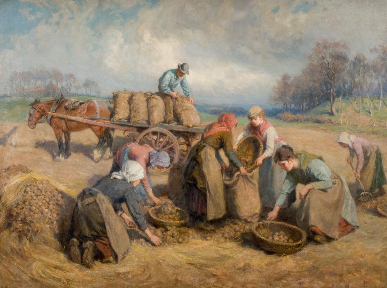 Kartoffelsammler, Northumberland, 1903 von Ralph Hedley