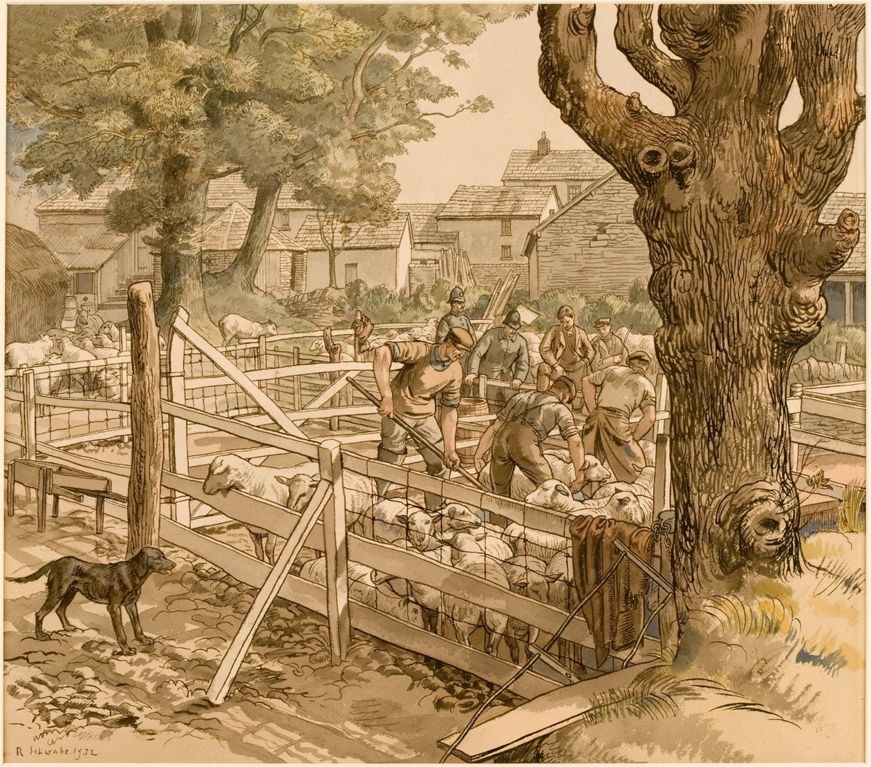 Schafschur in Cornwall von Randolph Schwabe