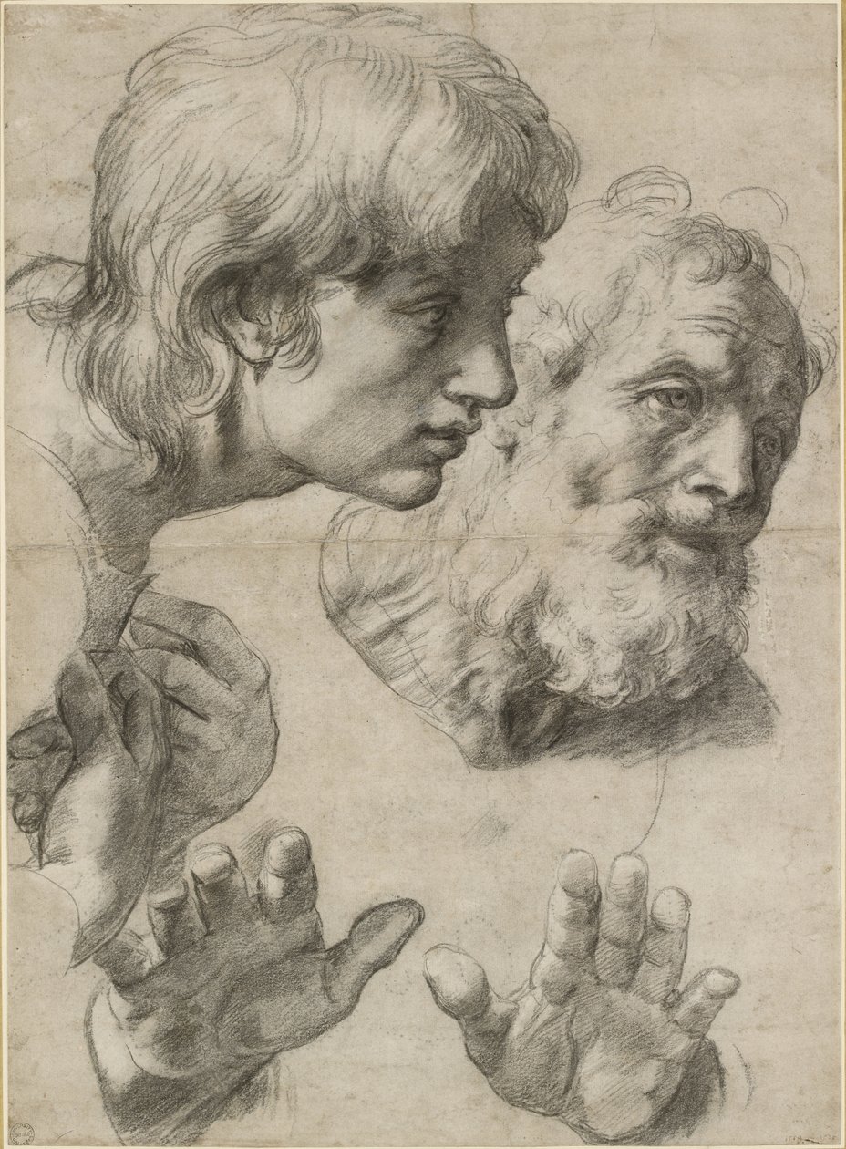 Studien der Köpfe zweier Apostel und ihrer Hände, WA1846.209 von Raffaello Sanzio Raphael