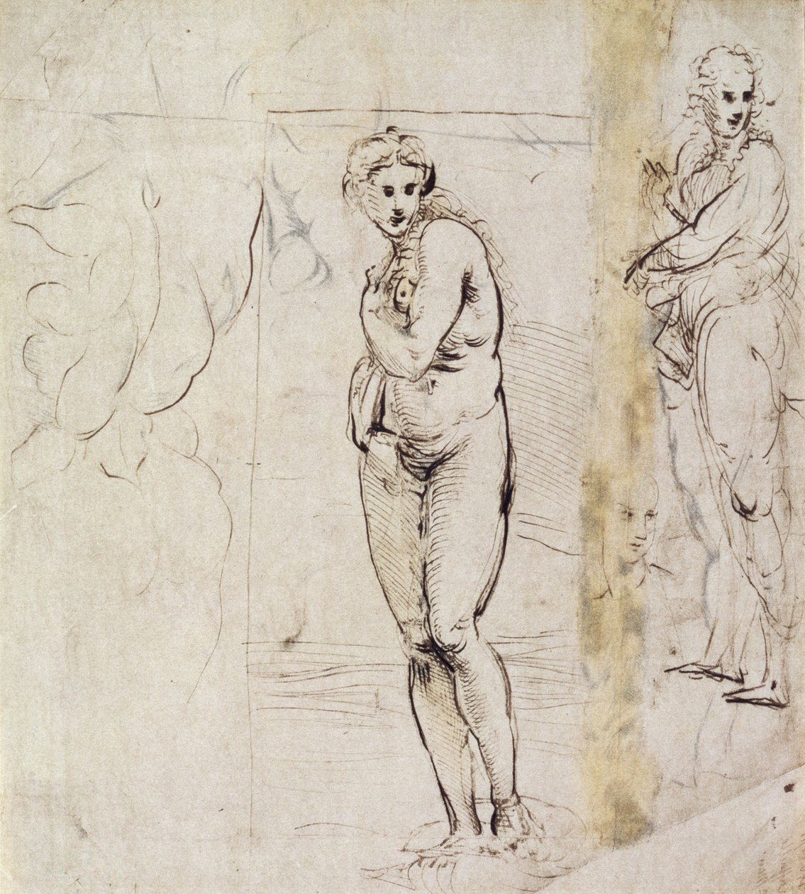 Studie der Venus von Raffaello Sanzio Raphael
