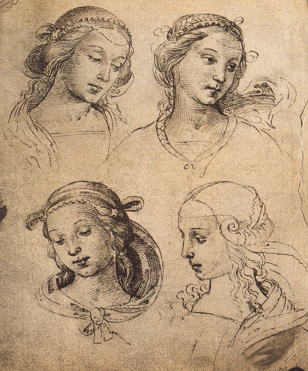 Studie von vier weiblichen Gesichtern (Gallerie dell