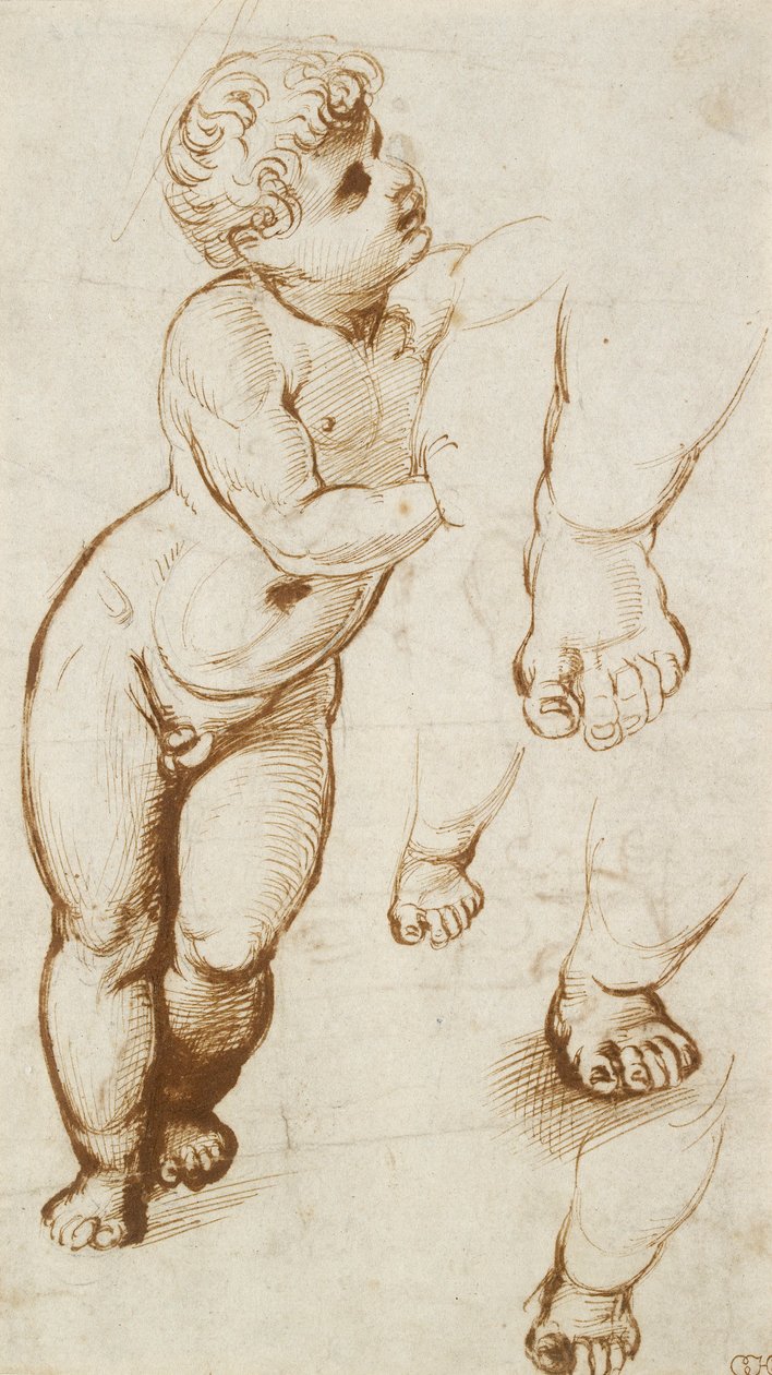 Recto: Das Jesuskind und andere Studien, 1500-1520 von Raphael
