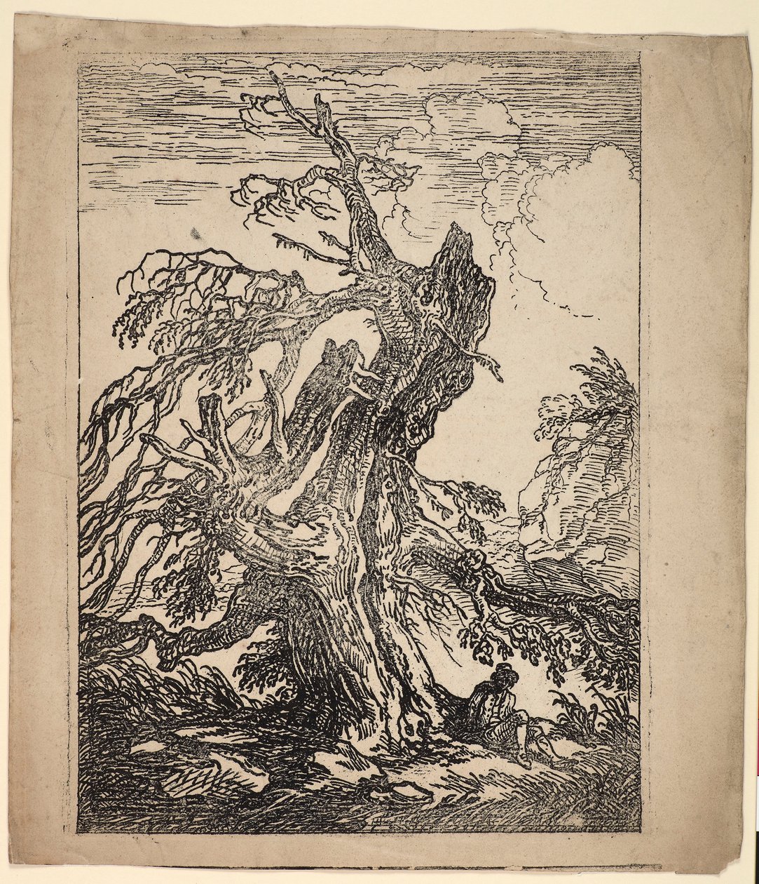 Studie eines Baumes von Raphael Lamar West