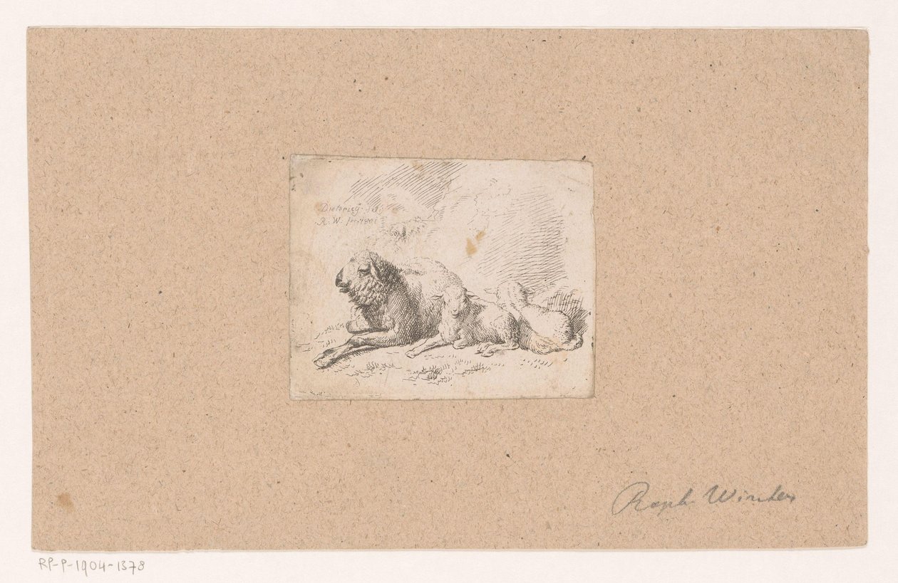 Liegendes Schaf mit zwei Lämmern von Raphael Winter