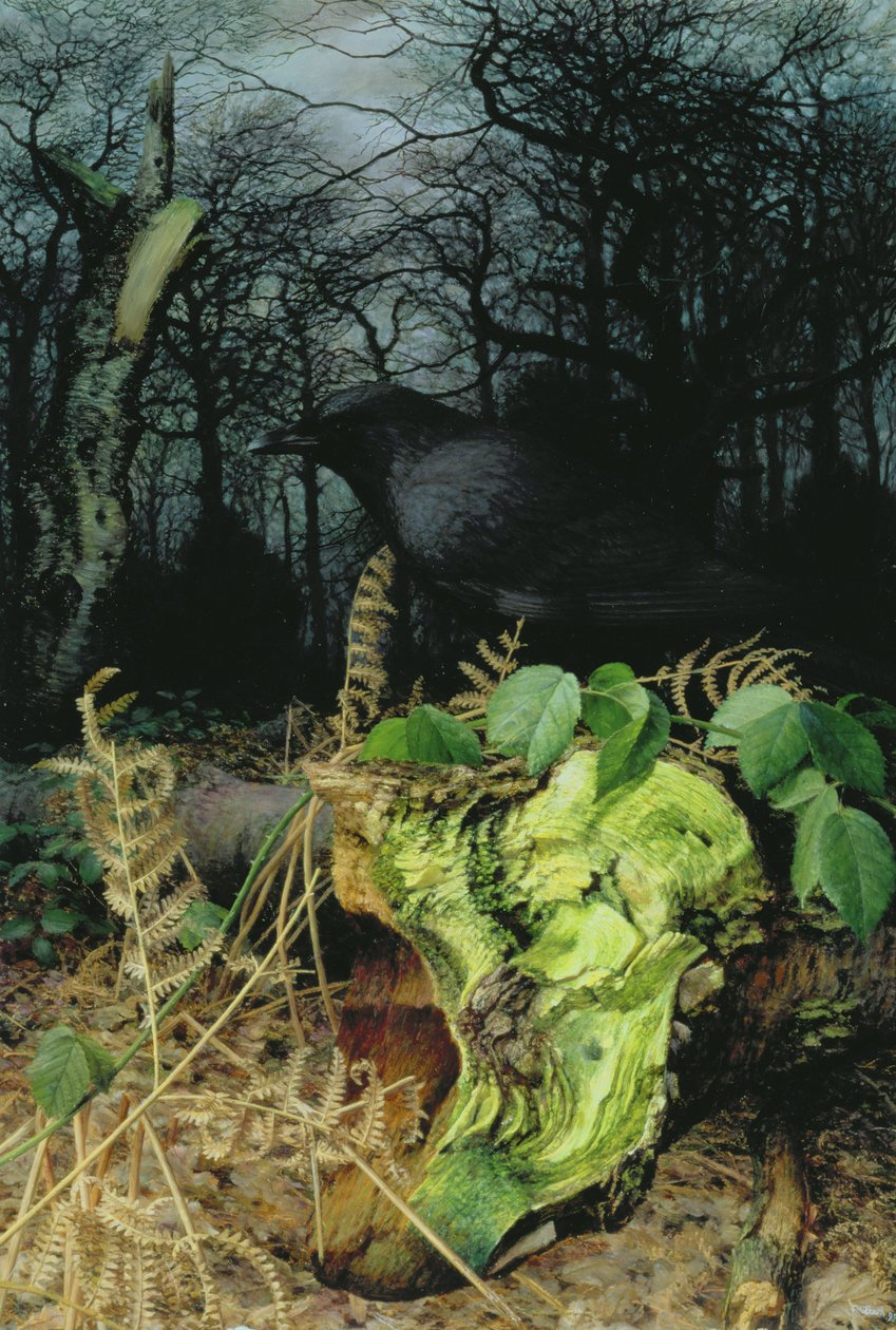 Mittwinter im Wald von Raymond Booth