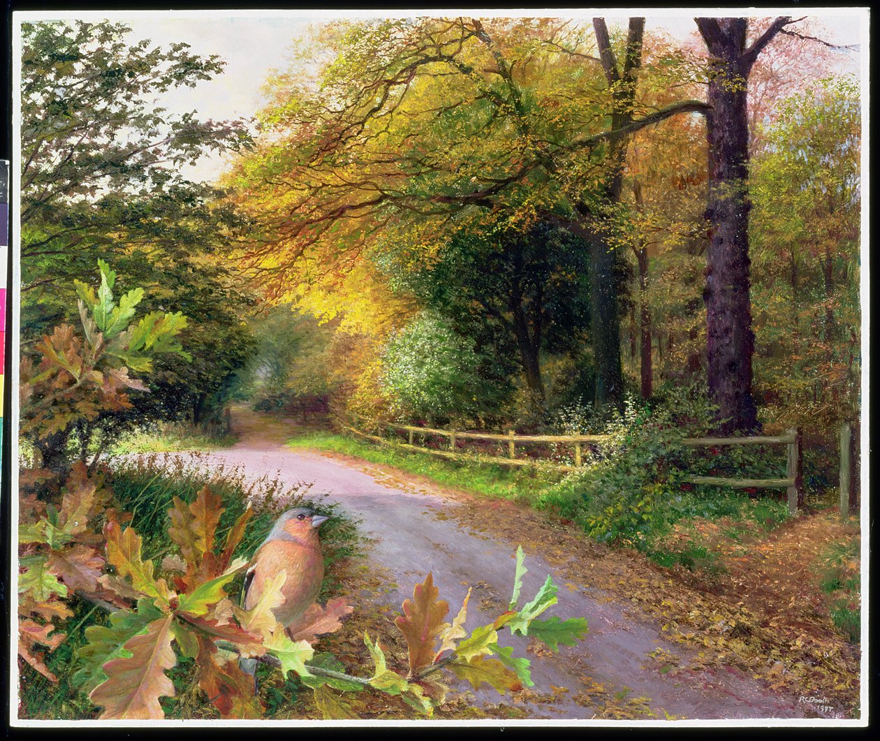 Oktoberabend auf Crag Lane von Raymond Booth