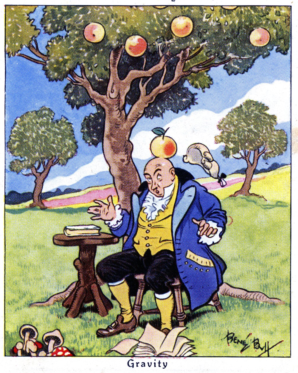 Isaac Newton entdeckt die Schwerkraft, 1936 von René Bull