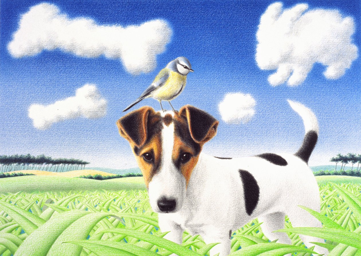 Gedanken, 2004 von Rene Boin