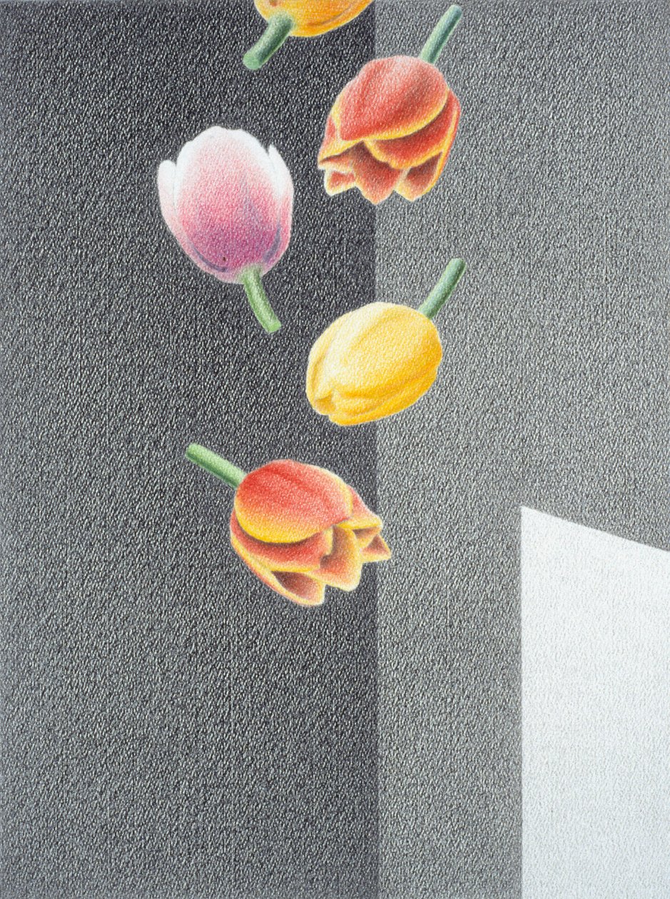 Tulpen von Rene Boin