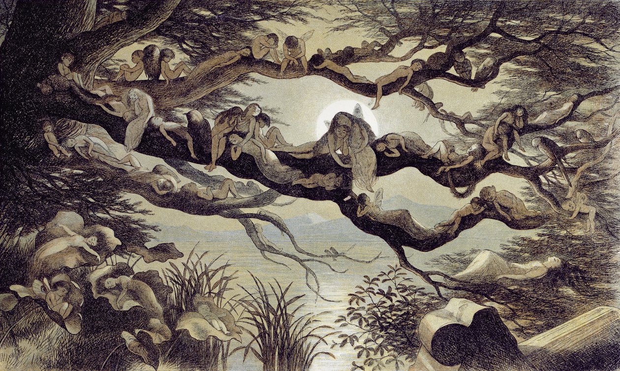 Schlafend im Mondlicht von Richard Doyle