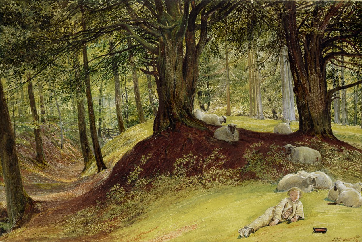 Parkhurst Woods, Abinger, Surrey von Richard Redgrave