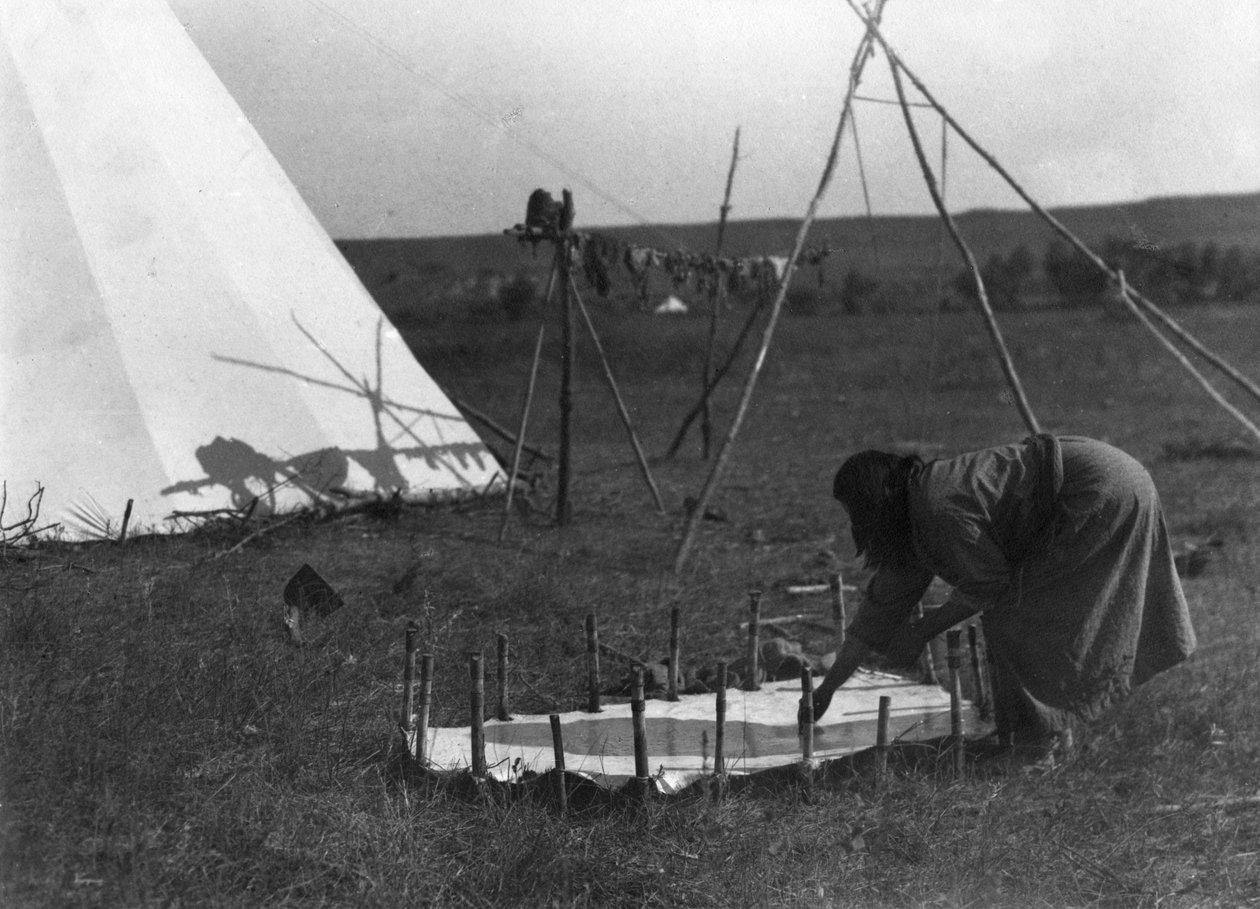 Häuten, ca. 1902-11 von Richard Throssel
