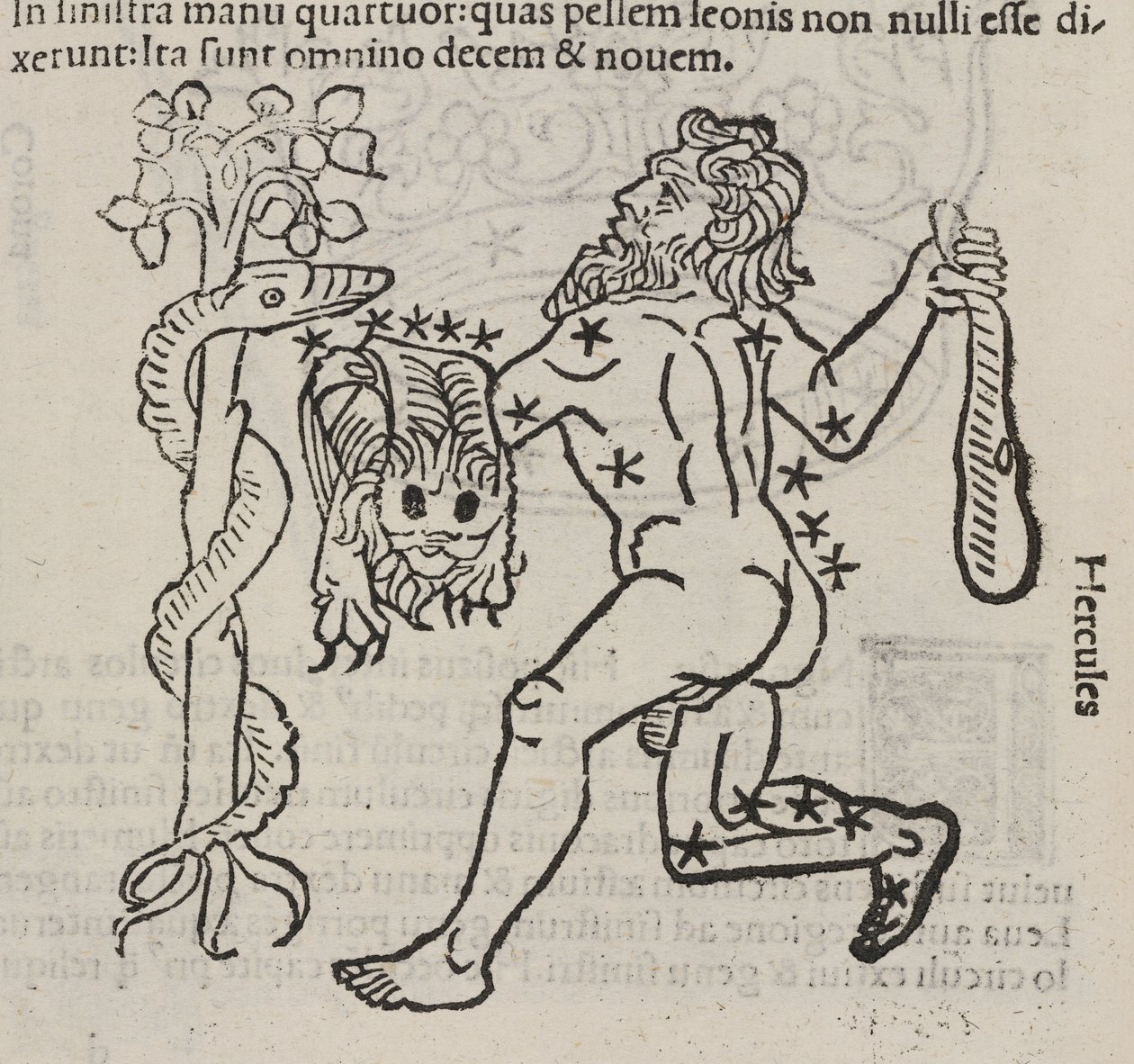 Das Sternbild des Herkules von John Pardon