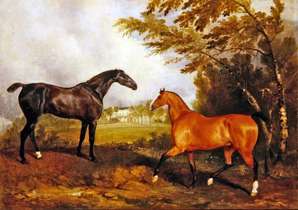 Reitszene von Richard Barrett Davis