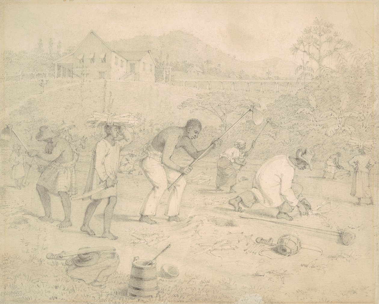 Pflanzung des Zuckerrohrs (Trinidad) von Richard Bridgens