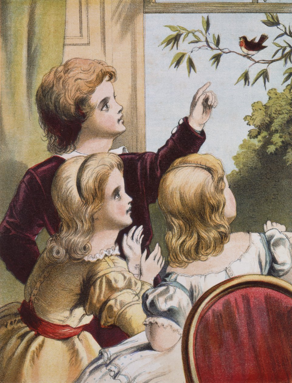 Der freundliche Rotkehlchen von Richard Doyle