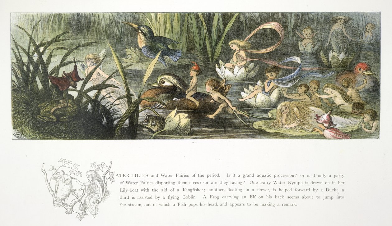 Seerosen und Wasserfeen von Richard Doyle