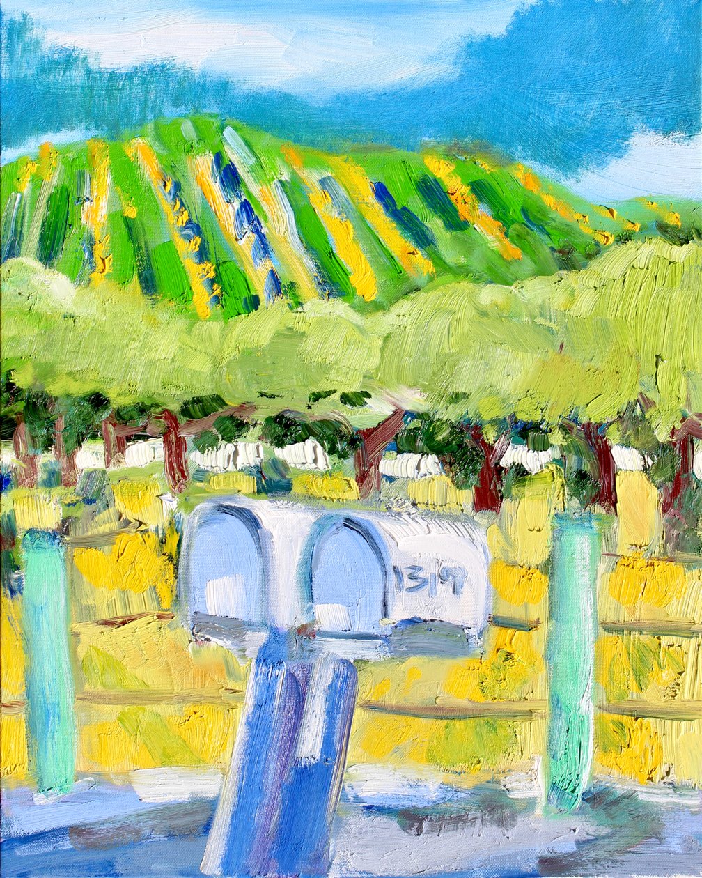 Briefkästen und Weinberg, Napa von Richard Fox
