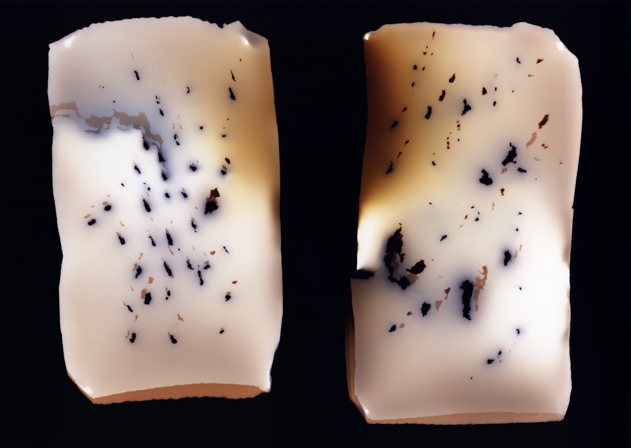 Ohne Titel (Doppelstudie) von Richard Green