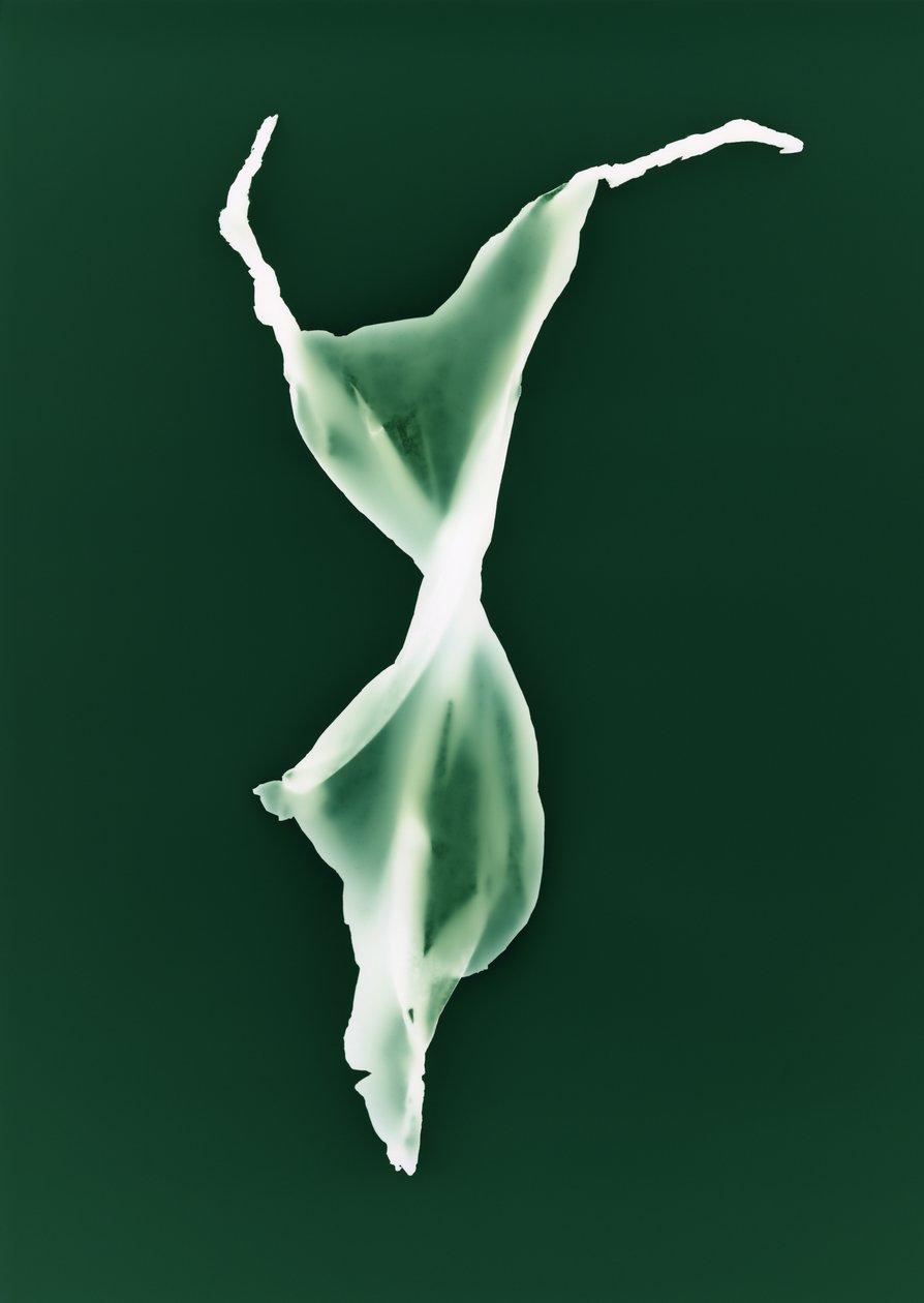 Ohne Titel von Richard Green