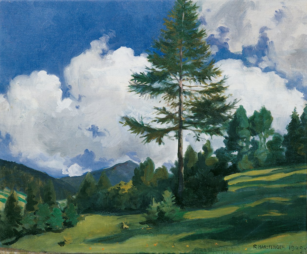 Motiv bei Toblach von Richard Harlfinger