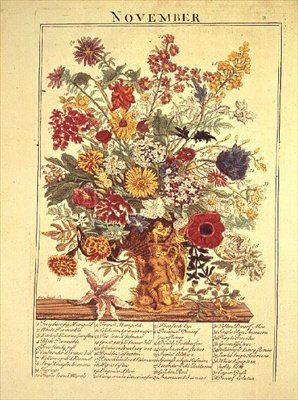 November aus `Flower Garden Displayed